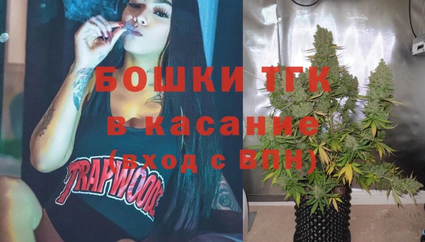 гидра Чегем