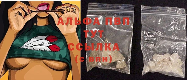 гидра Покачи