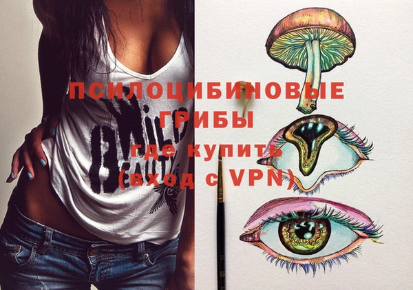 ECSTASY Покровск