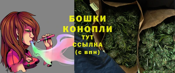 гидра Чегем