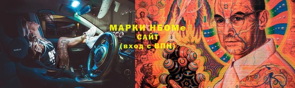 гидра Чегем