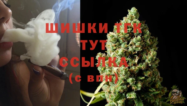 гидра Чегем
