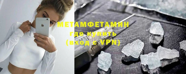 прущие грибы Фурманов