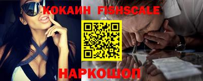 скорость Дубна
