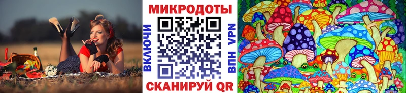 Галлюциногенные грибы Magic Shrooms  Тула 
