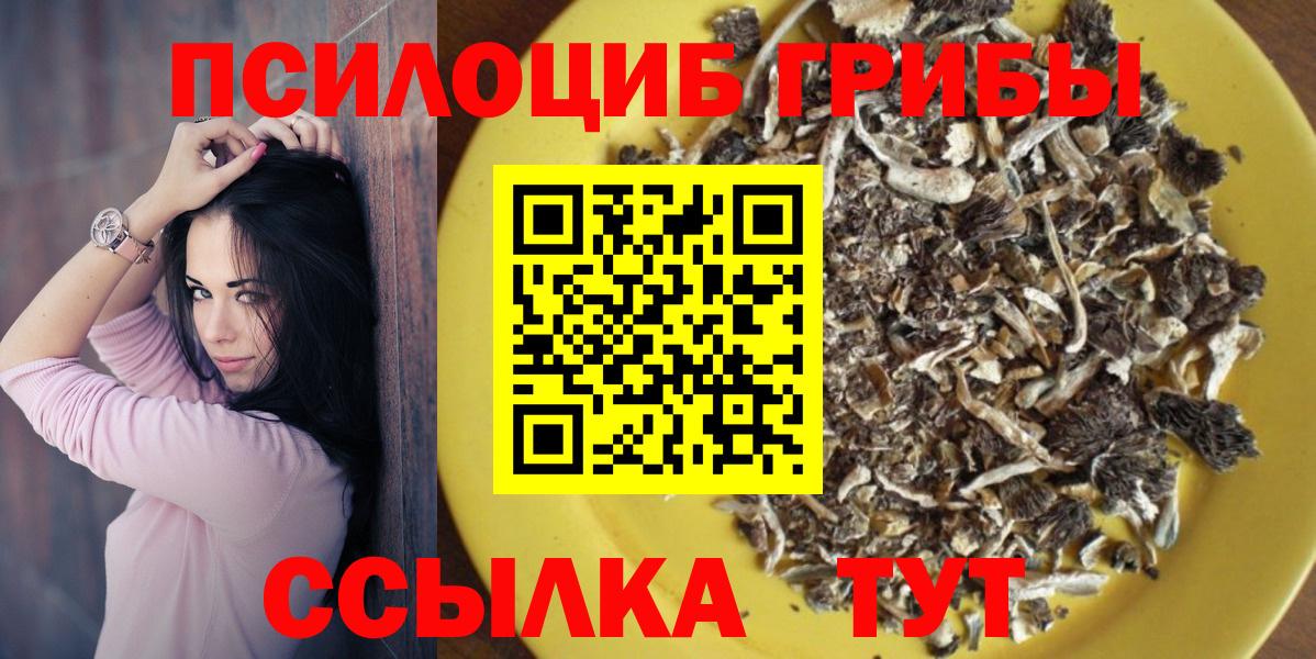 Псилоцибиновые грибы прущие грибы  Вход с VPN  Тула 