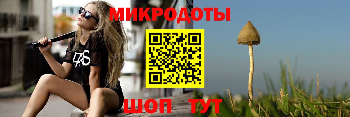 Псилоцибиновые грибы ЛСД Тула